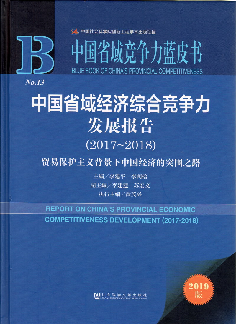 请插进来～用你的鸡鸡，求你中国省域经济综合竞争力发展报告（2017-2018）